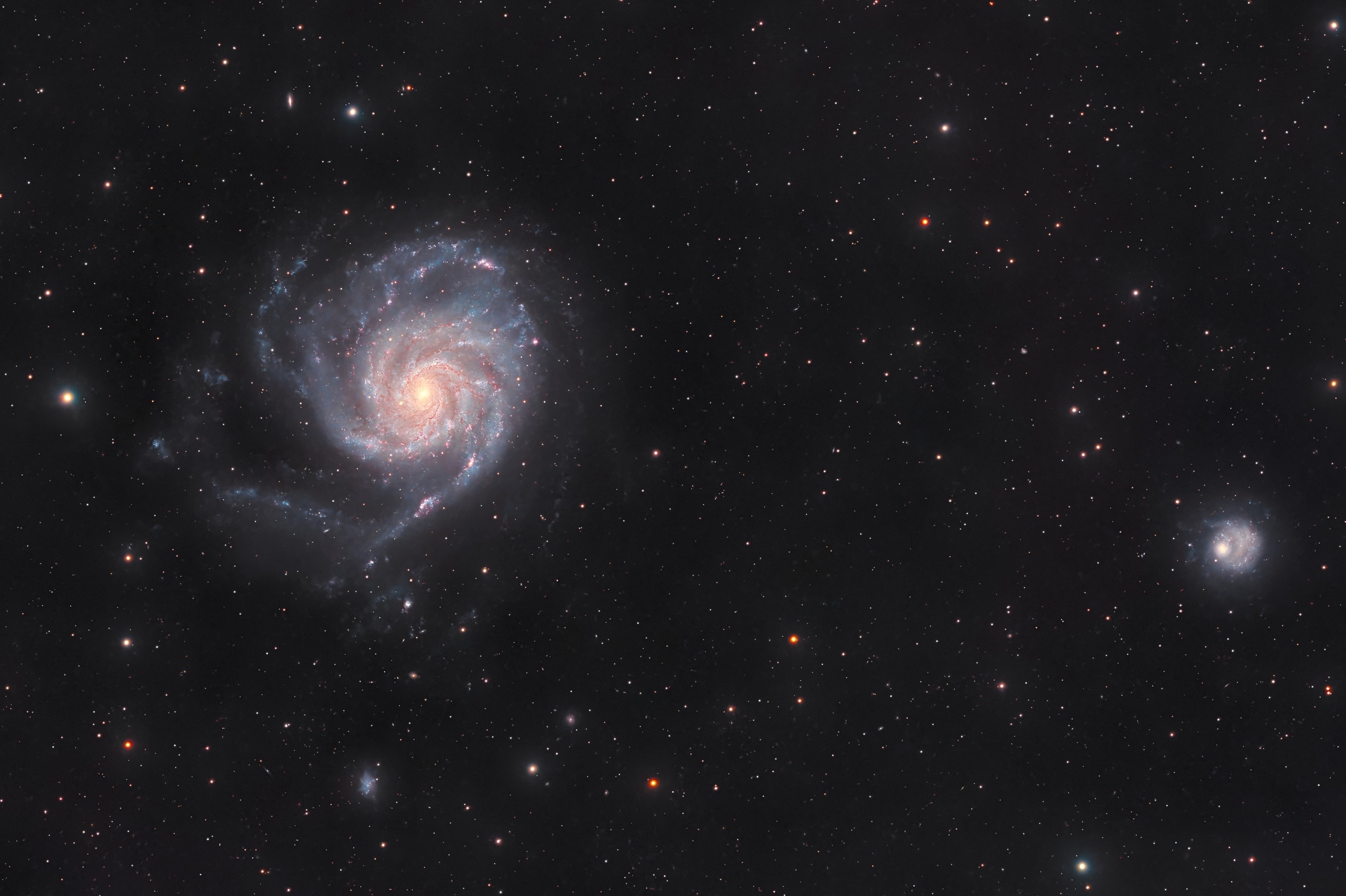 M101 galaxie du MoulinetM101 (NGC 5457), aussi appelé galaxie du Moulinet, est une très vaste galaxie spirale vue de face et située dans la constellation de la Grande Ourse. A une distance 17,4 millions d'années lumière de notre système solaire, environ 70% plus grande que notre Galaxie avec 170 000 années-lumière de diamètre.Elle a été découverte par l'astronome français Pierre Méchain en 1781.Photos réalisées à la lunette Skywatcher Esprit 120ED à 858mm de focale (et drizzle x3) sur monture Wave 150i Nikon Z7 défiltré/refiltré EOS For Astro, et filtre IDAS LPS-P3 Pose de 4h en 48 x300s , 48 darks, 48 flats, 48 bias, gestion du setup avec un Asiair Plus, EAF ZWO, Lunette guide 80/400mm et camera AZI678MM.Faite à Hamois en Belgique la nuit du 30/04/2025 T Logiciels utilisés: Pixinsight, darktable sous Linux.Dans Pixinsight utilisation de BlurXT, NoisXT. M101_30-04-2025-Hamois-Luc-Viatour.jpg