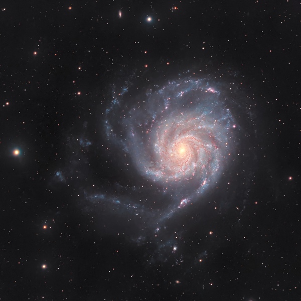M101 30-04-2025-Hamois-Luc-Viatour-crop