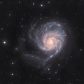 M101 30-04-2025-Hamois-Luc-Viatour-crop