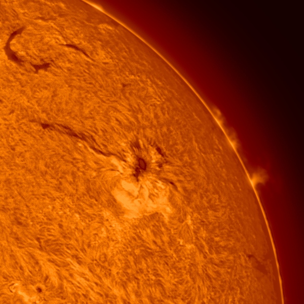 Sun-H-Alpha-08-05-2025-16h00-Hamois-crop1