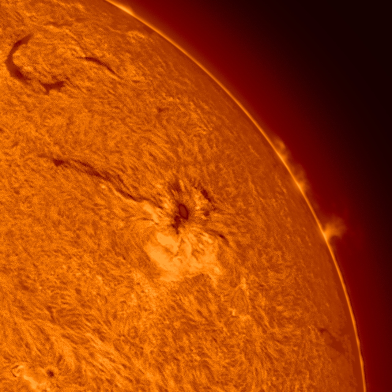 Sun-H-Alpha-08-05-2025-16h00-Hamois-crop1.jpg
