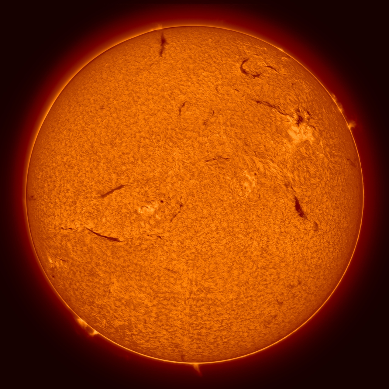 Sun-H-Alpha-08-05-2025-16h00-Hamois.jpg