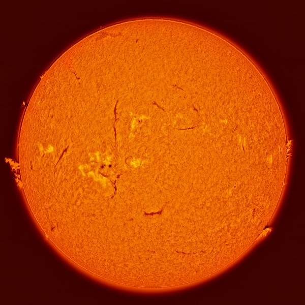 01-Sun-30-05-2025-14h15-Hamois-Luc-Viatour