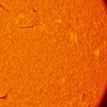 03-Sun-30-05-2025-14h15-Hamois-Luc-Viatour