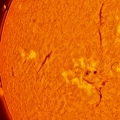 02-Sun-30-05-2025-14h15-Hamois-Luc-Viatour