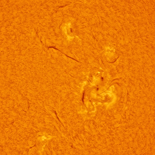 Sun-01-06-2025-14:15-Hamois-Belgium-crop1