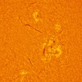 Sun-01-06-2025-14:15-Hamois-Belgium-crop1