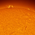 Sun-01-06-2025-14:15-Hamois-Belgium-crop3