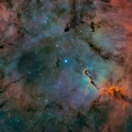 elephant trunk - IC1396 - -Hamois-19-08-2025-v-HOO-rvb