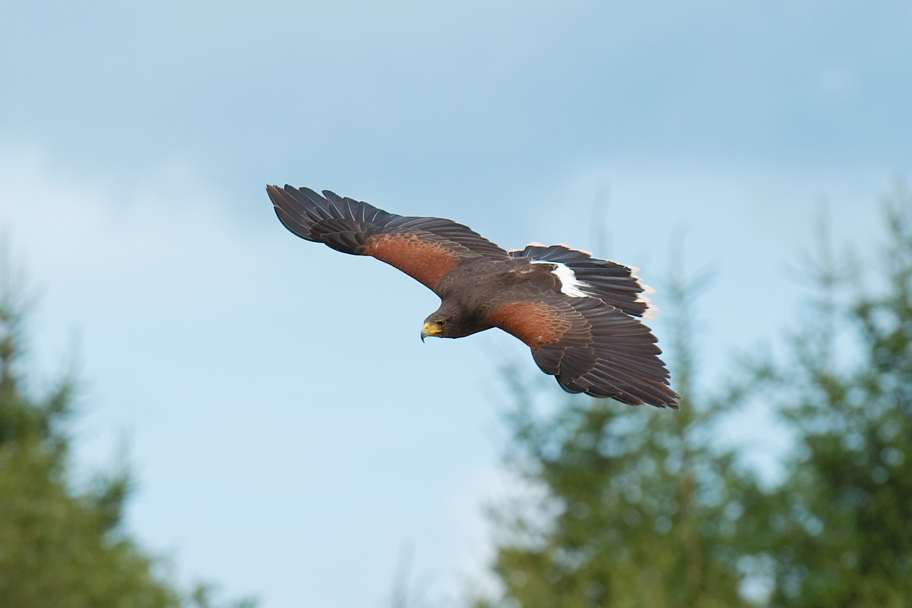 Monde_sauvage_2_2010-08-06--15_19_33.jpg