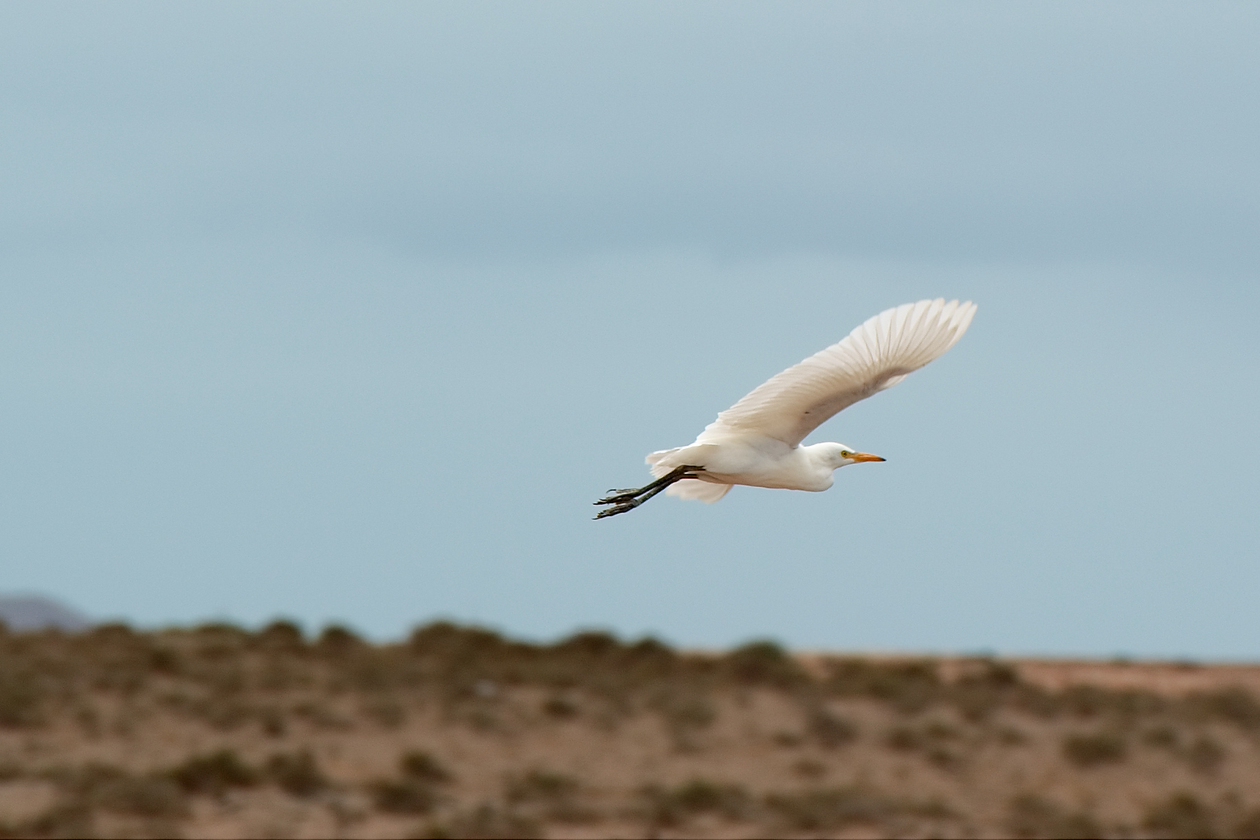 Lanzarote-24juillet_4.jpg