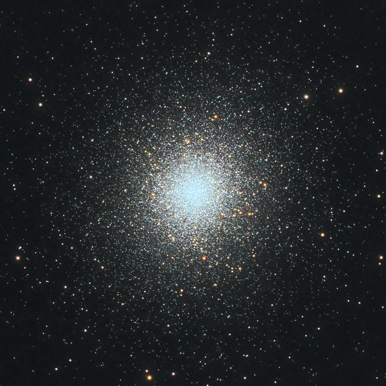 M13-Hamois-26-04-2025-Luc-Viatour-crop.jpg
