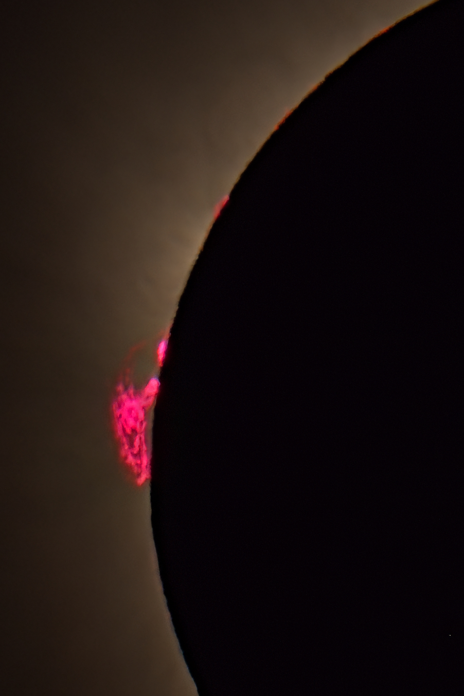 20260818124404-6eb2834a.jpg