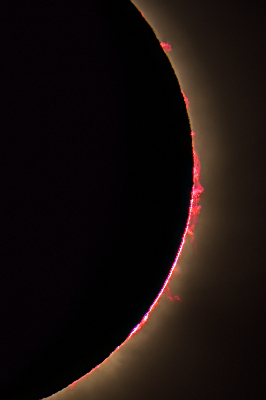 20260818124406-51cb4531.jpg